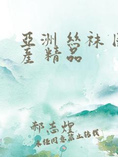 亚洲 丝袜 国产 精品