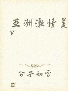 亚洲激情美女av