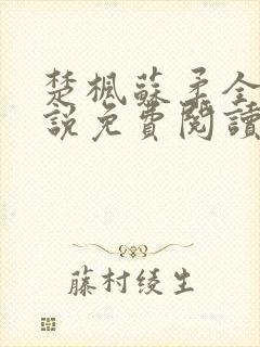 楚枫苏柔全本小说免费阅读