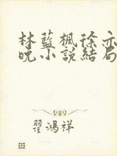 林蓝枫徐亦辰晚晚小说结局