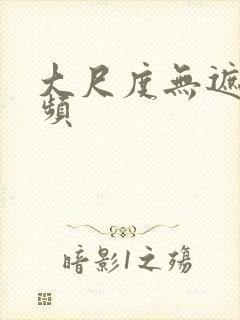 大尺度无遮挡视频