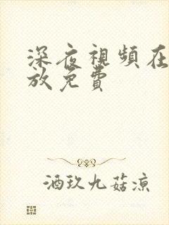 深夜视频在线播放免费