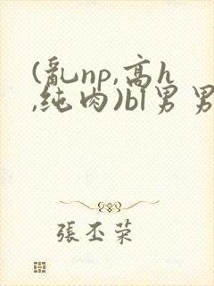 (乱np,高h,纯肉)bl男男