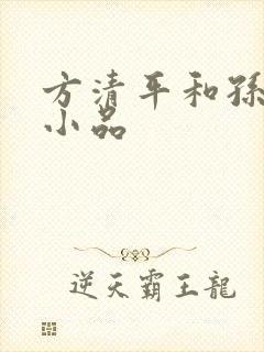 方清平和孙涛的小品