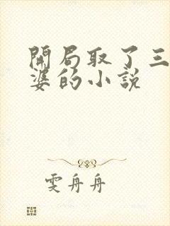 开局取了三个老婆的小说