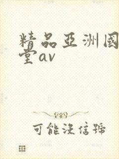 精品亚洲国产天堂av