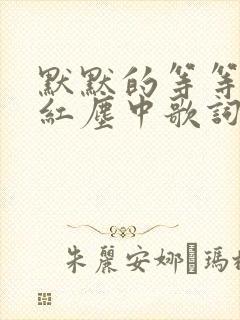 默默的等等你在红尘中歌词