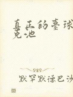 真正的台球斯诺克池