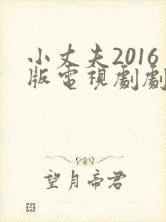 小丈夫2016版电视剧剧情介绍