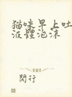 猫咪早上吐白色液体泡沫