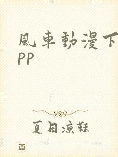 风车动漫下载app