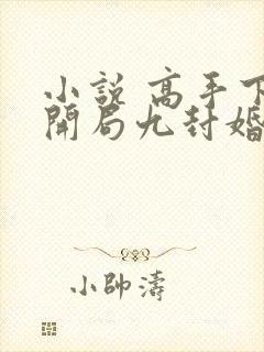 小说 高手下山开局九封婚书