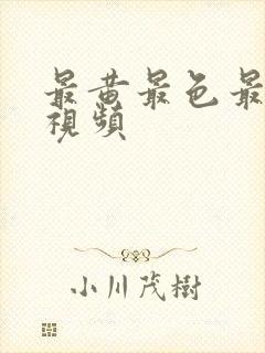 最黄最色最爽的视频