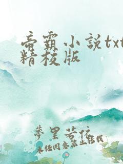 帝霸小说txt精校版