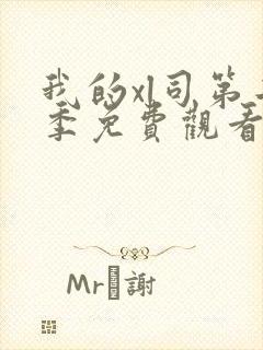 我的xl司第二季免费观看翻译