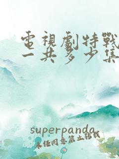 电视剧特战荣耀一共多少集