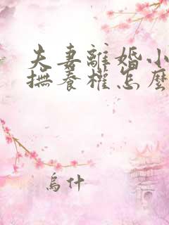 夫妻离婚小孩的抚养权怎么判