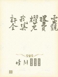 许我耀眼电视剧全集免费观看网盘资源