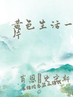 黄色生活一级大片