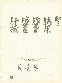 肝胆脾胰肾b超检查费用