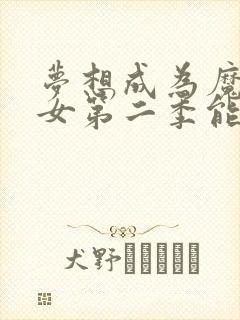 梦想成为魔法少女第二季能在哪里看