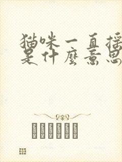 猫咪一直摇尾巴是什么意思?