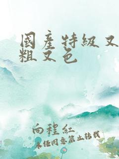 国产特级又黄又粗又色