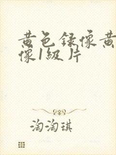 黄色录像黄色录像1级片