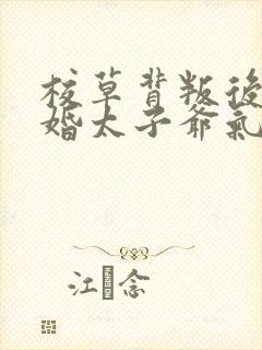 校草背叛后我闪婚太子爷气疯他苏念笙全本