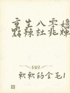 重生八零媳妇有点辣杜兆辉