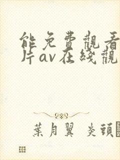 能免费观看的毛片av在线观看