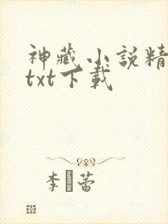 神藏小说精校版txt下载