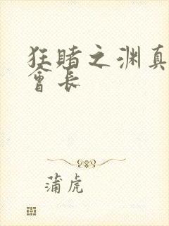 狂赌之渊真人版会长