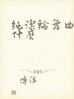 纯洁轮舞曲讲的什么