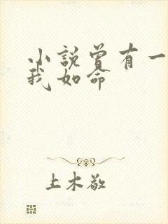 小说曾有一人爱我如命