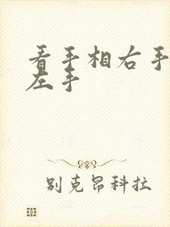 看手相右手还是左手