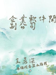 企业软件开发定制公司