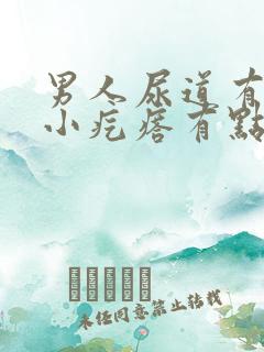 男人尿道有一个小疙瘩有点样