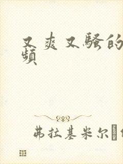 又爽又骚的小视频