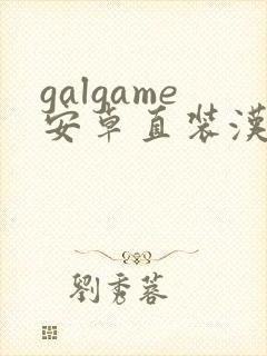 galgame安卓直装汉化版
