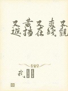 又黄又爽又色无遮挡在线观看