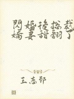 闪婚后总裁农村娇妻甜翻了