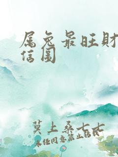 属兔最旺财的微信图