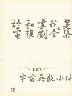 于和伟我是刑警电视剧全集