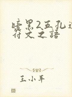 暗黑2五孔连枷符文之语