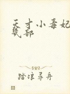 天才小毒妃一共几部