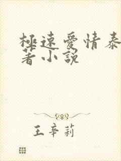 极速爱情泰剧原著小说