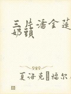 三片潘金莲一级奶头