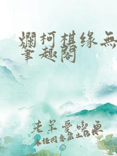 烂柯棋缘无弹窗笔趣阁