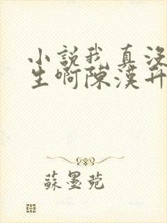 小说我真没想重生啊陈汉升阅读